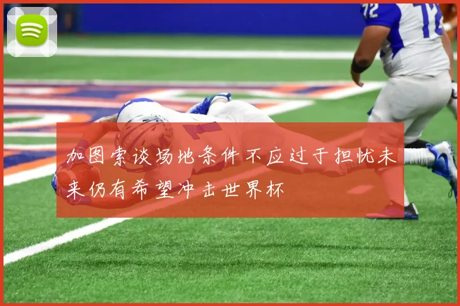 加图索谈场地条件不应过于担忧未来仍有希望冲击世界杯